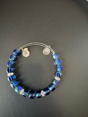 Alex and Ani Eden Cobalt Bracelet with Silver Accents